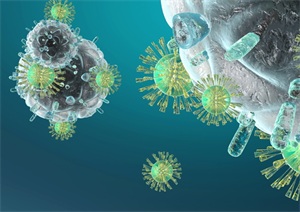 身体里的“抗体教练”：揭秘免疫力的幕后英雄